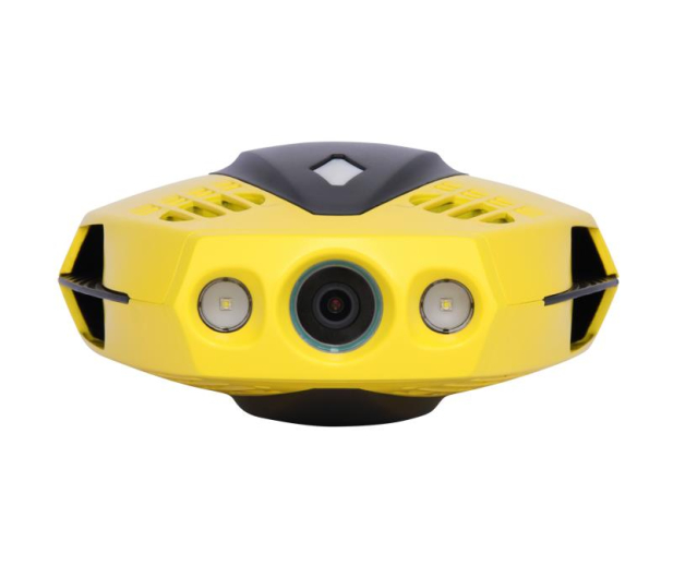 Chasing DORY - 744858 - zdjęcie 3